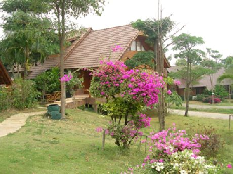 โรงแรม รีสอร์ท วังน้ำเขียว โรงแรม รีสอร์ท วังน้ำเขียว