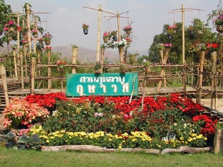 ไร่อุษาวดี รีสอร์ท ไร่อุษาวดี รีสอร์ท