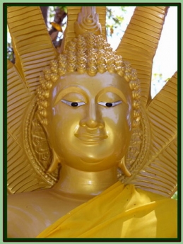 เดอะ นาริมา บังกะโล รีสอร์ท เดอะ นาริมา บังกะโล รีสอร์ท