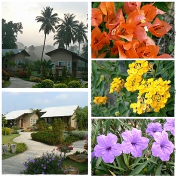 บ้านสวนราชาวดี รีสอร์ท บ้านสวนราชาวดี รีสอร์ท