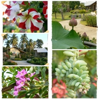บ้านสวนราชาวดี รีสอร์ท บ้านสวนราชาวดี รีสอร์ท