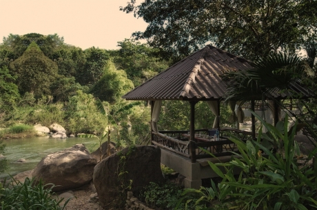 The Rain Forest Resort