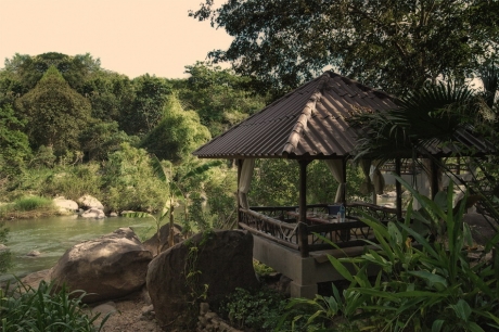 The Rain Forest Resort The Rain Forest Resort