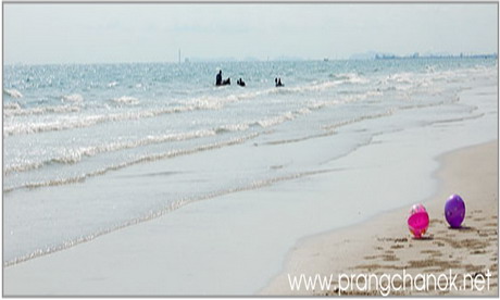 ปรางชนก ปรางชนก
