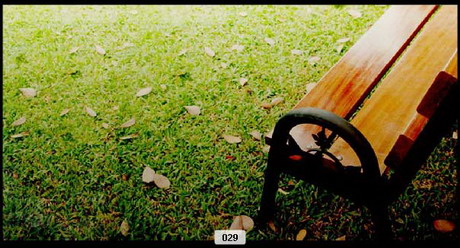 ม่อนฟ้าใส ม่อนฟ้าใส