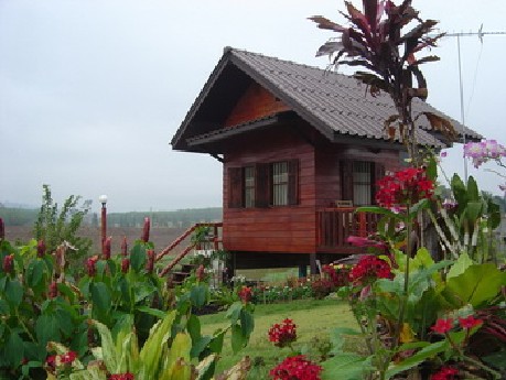 บ้านไม้-ชายน้ำ บ้านไม้-ชายน้ำ