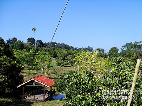 จองโรงแรม จองที่พัก เขาแผงม้า จองโรงแรม จองที่พัก เขาแผงม้า