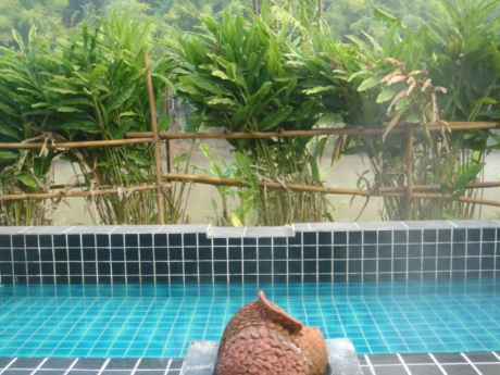 ธรรมชาติ รีสอร์ท ธรรมชาติ รีสอร์ท