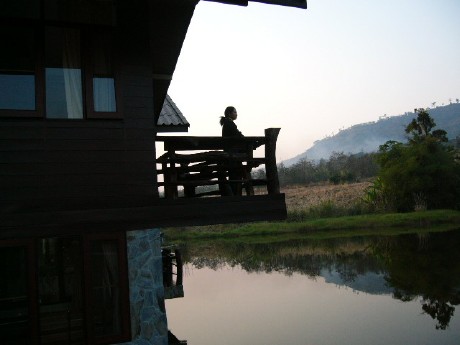 เรืองนวนิกส์วนเกษตร (นิกส์ลองสเตย์) เรืองนวนิกส์วนเกษตร (นิกส์ลองสเตย์)