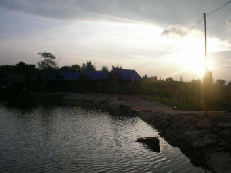 เรืองนวนิกส์วนเกษตร (นิกส์ลองสเตย์) เรืองนวนิกส์วนเกษตร (นิกส์ลองสเตย์)