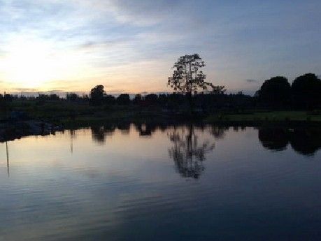 เรืองนวนิกส์วนเกษตร (นิกส์ลองสเตย์) เรืองนวนิกส์วนเกษตร (นิกส์ลองสเตย์)