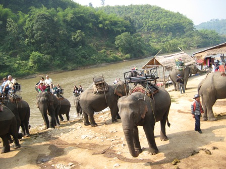 ธรรมชาติ รีสอร์ท ธรรมชาติ รีสอร์ท
