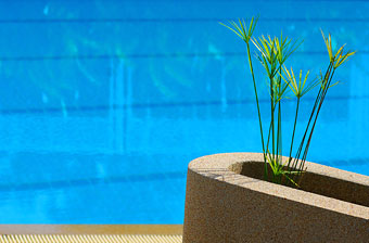 My Way at Hua Hin? My Way at Hua Hin?