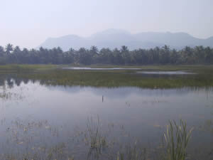 Baan Patu Bungalows