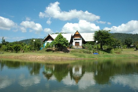 มะค่าอิงจันทร์ มะค่าอิงจันทร์