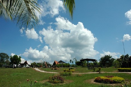 มะค่าอิงจันทร์ มะค่าอิงจันทร์