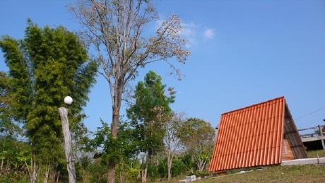 มะค่าอิงจันทร์ มะค่าอิงจันทร์