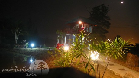 มะค่าอิงจันทร์ มะค่าอิงจันทร์