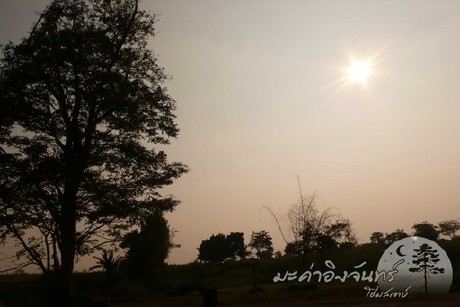 มะค่าอิงจันทร์ มะค่าอิงจันทร์