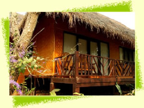 ม้ง ลอดจ์ (Hmong Hilltribe Lodge) ม้ง ลอดจ์ (Hmong Hilltribe Lodge)