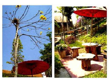ณวสรวง รีสอร์ท ณวสรวง รีสอร์ท