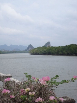 ไสไทยการ์เด้นโฮม (Saithai Garden Home) ไสไทยการ์เด้นโฮม (Saithai Garden Home)