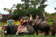 บ้านต้นไม้ ปาย รีสอร์ท ( Pai treehouse Resort ) บ้านต้นไม้ ปาย รีสอร์ท ( Pai treehouse Resort )