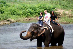 บ้านต้นไม้ ปาย รีสอร์ท ( Pai treehouse Resort ) บ้านต้นไม้ ปาย รีสอร์ท ( Pai treehouse Resort )