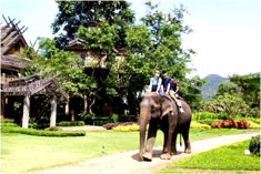 บ้านต้นไม้ ปาย รีสอร์ท ( Pai treehouse Resort ) บ้านต้นไม้ ปาย รีสอร์ท ( Pai treehouse Resort )