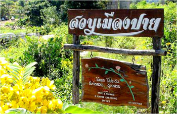 บ้านต้นไม้ ปาย รีสอร์ท ( Pai treehouse Resort ) บ้านต้นไม้ ปาย รีสอร์ท ( Pai treehouse Resort )