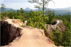 บ้านต้นไม้ ปาย รีสอร์ท ( Pai treehouse Resort ) บ้านต้นไม้ ปาย รีสอร์ท ( Pai treehouse Resort )