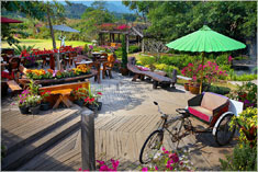 บ้านต้นไม้ ปาย รีสอร์ท ( Pai treehouse Resort )