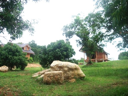 เขาใหญ่ ไอหนาว รีสอร์ท เขาใหญ่ ไอหนาว รีสอร์ท