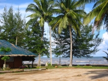 ชุมพรซันนี่บีชรีสอร์ท - บ้านพักท่ามกลางสวนมะพร้าวและสวนสนอันร่มรื่นบนหาดอรุโณทัย