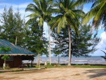ชุมพรซันนี่บีชรีสอร์ท - บ้านพักท่ามกลางสวนมะพร้าวและสวนสนอันร่มรื่นบนหาดอรุโณทัย ชุมพรซันนี่บีชรีสอร์ท - บ้านพักท่ามกลางสวนมะพร้าวและสวนสนอันร่มรื่นบนหาดอรุโณทัย