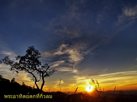 ปาย เลทโกทัวร์ ปาย เลทโกทัวร์