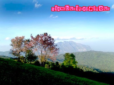 บริษัท สยามบุรีทราเวลทัวร์ บริษัท สยามบุรีทราเวลทัวร์