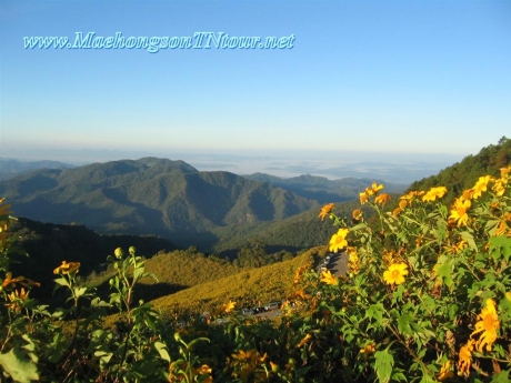 Mae Hong Son T.N Tour แม่ฮ่องสอน ที.เอ็น.ทัวร์