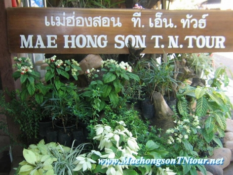 Mae Hong Son T.N Tour แม่ฮ่องสอน ที.เอ็น.ทัวร์