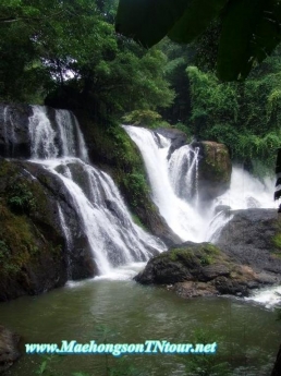 Mae Hong Son T.N Tour แม่ฮ่องสอน ที.เอ็น.ทัวร์