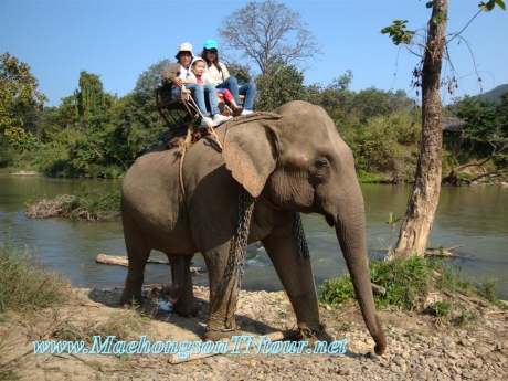 Mae Hong Son T.N Tour แม่ฮ่องสอน ที.เอ็น.ทัวร์