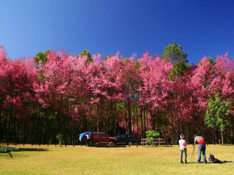 ปาย เลทโกทัวร์ ปาย เลทโกทัวร์
